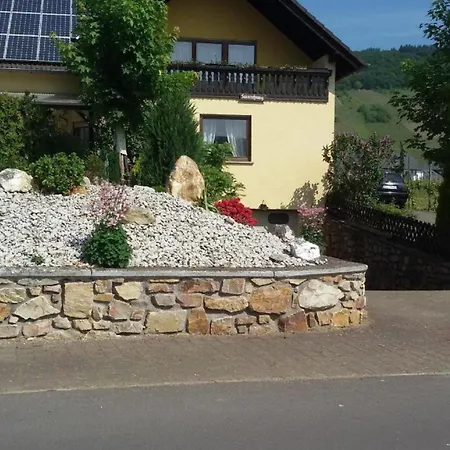 Mit Blick Auf Weinberge *