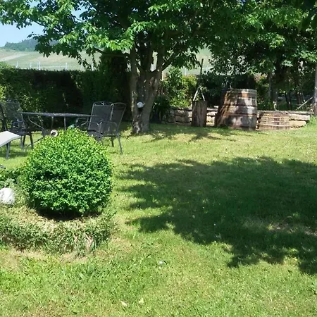 公寓 Mit Blick Auf Weinberge 克罗夫